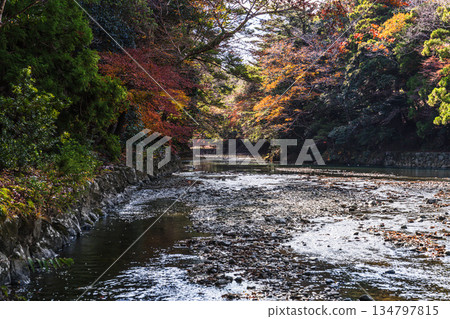 Japanese Mythology: Sacred Forests and Rivers (Shrine and Isuzu River) Japanese Mythology: Sacred Forests and Rivers (Shrine and Isuzu River) 134797815