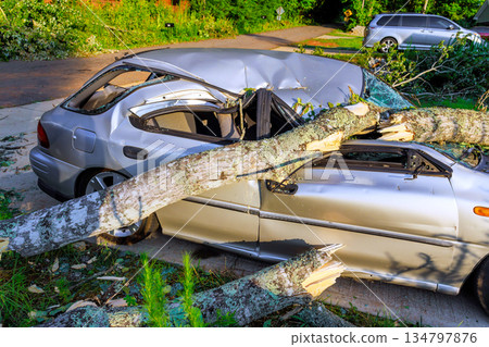 Large tree has fallen on parked car, damaging roof, blocking part of road in neighborhood. Large tree has fallen on parked car, damaging roof, blocking part of road in neighborhood. 134797876