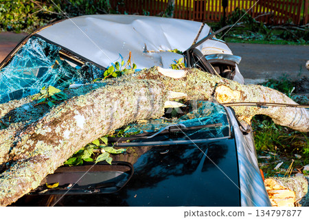 Large tree has fallen onto parked car in neighborhood after storm, damaging its roof, windshield. Large tree has fallen onto parked car in neighborhood after storm, damaging its roof, windshield. 134797877