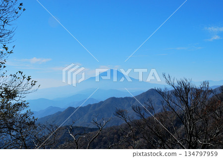 【山景】富士山（從丹澤山脈眺望） 134797959
