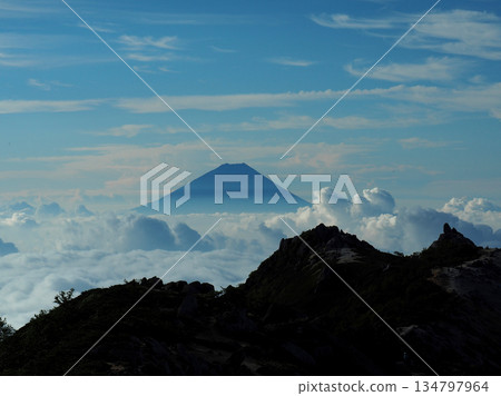 【山景】富士山漂浮在雲海之中(從鳳凰山拍攝) 【山景】富士山漂浮在雲海之中(從鳳凰山拍攝) 134797964