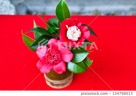 Beautiful camellia flowers at Reikanji Temple in Kyoto during the spring special viewing period (Sakyo Ward, Kyoto City, Kyoto Prefecture) Beautiful camellia flowers at Reikanji Temple in Kyoto during the spring special viewing period (Sakyo Ward, Kyoto City, Kyoto Prefecture) 134798013