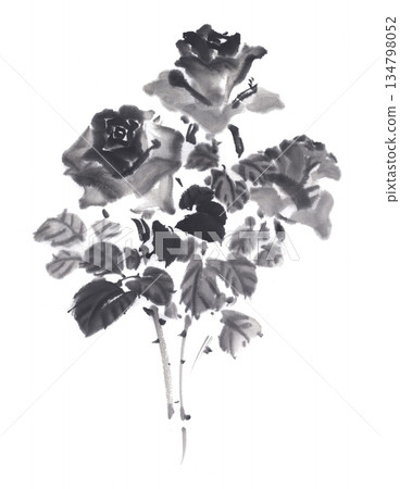 單色玫瑰花 134798052