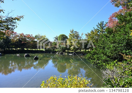 Autumn scenery of the pond at Nigorikawa Park (Niigata City, Niigata Prefecture) Autumn scenery of the pond at Nigorikawa Park (Niigata City, Niigata Prefecture) 134798128