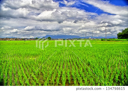 [Gunma Prefecture] Mt. Akagi seen from Isesaki City 134798615