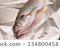 The gills and innards of the Ishimochi fish are removed and it is baked in foil. 134800458