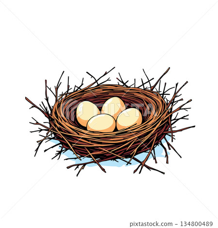 Vsai bird's nest holding four eggs as new life concept 134800489