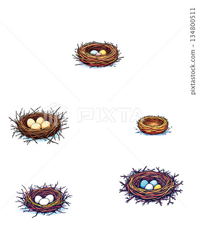 Vsai bird nests with eggs representing new life and spring 134800511
