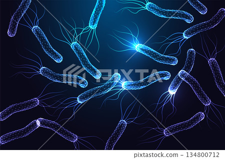 Futuristic Helicobacter pylori digital bacteria in neon low-poly medical tech style vector 134800712