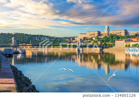 Places of visit of Budapest Chain Bridge and Buda castle at sunset, Hungary 134801126