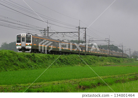 [JU] Utsunomiya Line 211 Series Train (10-car train: no Green Car) 134801464