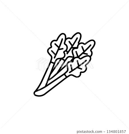 celery vector icon. Vegetable icon line style. perfect use for logo, presentation, website, and more. modern icon design outline style 134801857