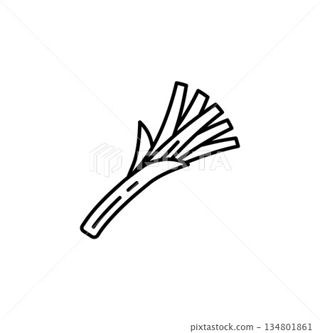 leek vector icon. Vegetable icon line style. perfect use for logo, presentation, website, and more. modern icon design outline style 134801861