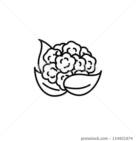 cauliflower vector icon. Vegetable icon line style. perfect use for logo, presentation, website, and more. modern icon design outline style cauliflower vector icon. Vegetable icon line style. perfect use for logo, presentation, website, and more. modern icon design outline style 134801874
