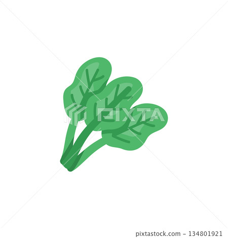 spinach vector icon. Vegetable icon solid style. perfect use for logo, presentation, website, and more. modern icon design glyph style 134801921