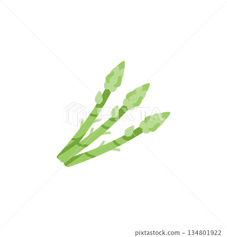 asparagus vector icon. Vegetable icon solid style. perfect use for logo, presentation, website, and more. modern icon design glyph style asparagus vector icon. Vegetable icon solid style. perfect use for logo, presentation, website, and more. modern icon design glyph style 134801922