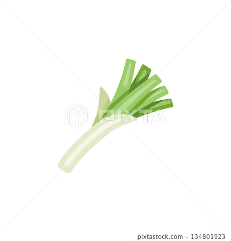 leek vector icon. Vegetable icon solid style. perfect use for logo, presentation, website, and more. modern icon design glyph style leek vector icon. Vegetable icon solid style. perfect use for logo, presentation, website, and more. modern icon design glyph style 134801923