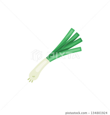 spring onion vector icon. Vegetable icon solid style. perfect use for logo, presentation, website, and more. modern icon design glyph style spring onion vector icon. Vegetable icon solid style. perfect use for logo, presentation, website, and more. modern icon design glyph style 134801924