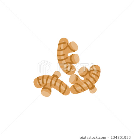 ginger vector icon. Vegetable icon solid style. perfect use for logo, presentation, website, and more. modern icon design glyph style ginger vector icon. Vegetable icon solid style. perfect use for logo, presentation, website, and more. modern icon design glyph style 134801933