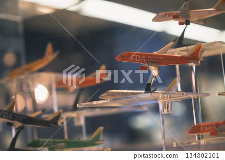 [Kansai International Airport] Cool airplane models 134802101