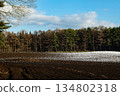 First snowfall at Koiwai Agriculture in Shizukuishi, Iwate Prefecture 134802318