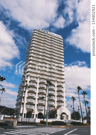 【和歌山濱海城】高聳的大型建築 【和歌山濱海城】高聳的大型建築 134802921
