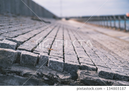 【和歌山濱海市】鄉村小鎮的度假勝地景象 134803187