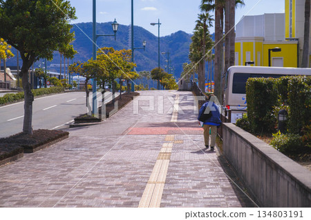 【和歌山濱海市】鄉村小鎮的度假勝地景象 【和歌山濱海市】鄉村小鎮的度假勝地景象 134803191