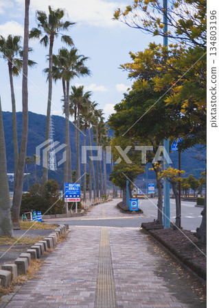 【和歌山濱海市】鄉村小鎮的度假勝地景象 【和歌山濱海市】鄉村小鎮的度假勝地景象 134803196