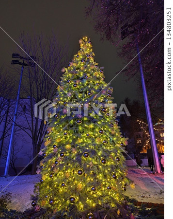 Christmas tree lights up at night. Decorations garland and scarf balls. Winter snow on the street Christmas tree lights up at night. Decorations garland and scarf balls. Winter snow on the street 134803251
