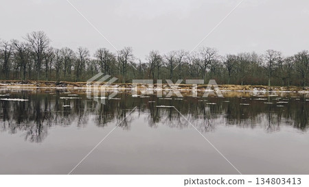 Reflecting bare trees in calm winter lake water. Mirror-like reflection of leafless tree line on tranquil frozen lake surface during cold season Reflecting bare trees in calm winter lake water. Mirror-like reflection of leafless tree line on tranquil frozen lake surface during cold season 134803413