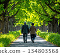 A loving elderly couple walking along a tree-lined street 134803568