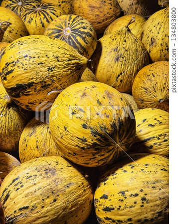 close-up of a pile of melons or pumpkins with yellow-orange, spotted skin close-up of a pile of melons or pumpkins with yellow-orange, spotted skin 134803800