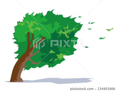Illustration of a tree swaying violently in a gust of wind Illustration of a tree swaying violently in a gust of wind 134803866