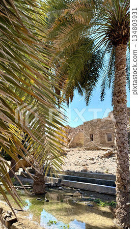 Sunlit Palms Over Peaceful Desert Waters, Ancient Ruins Surrounded By Bright Sun And Calm Natural Beauty, Serene Natural Surroundings Featuring Historic Stone Buildings And Sparkling Desert Lake 134803931