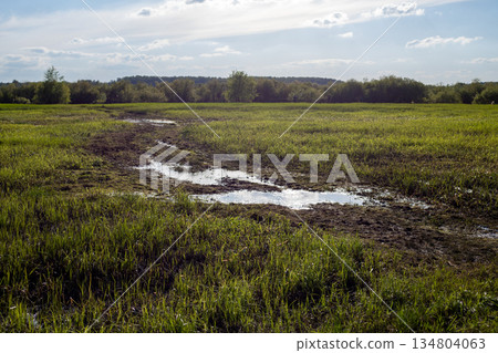 Wet meadow after the spring flood. The spring flood flooded the field. Flood water in fields, countryside. Wet meadow after the spring flood. The spring flood flooded the field. Flood water in fields, countryside. 134804063