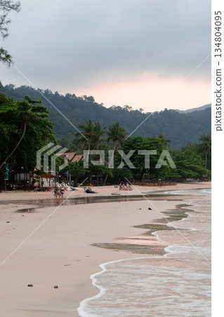 Waves gently lap at the sandy shore as palm trees sway in a tropical breeze at twilight. 134804095