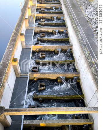 A fish ladder is a concrete staircase with bubbling water used to allow fish to pass through a hydroelectric dam A fish ladder is a concrete staircase with bubbling water used to allow fish to pass through a hydroelectric dam 134805033
