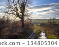 muddy field road  134805304