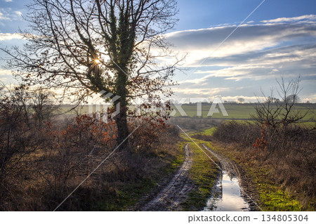 muddy field road muddy field road 134805304