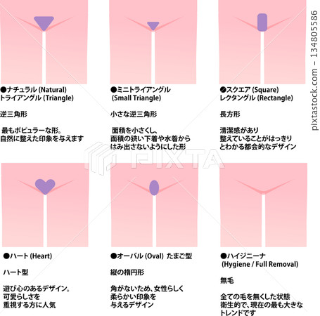 一組女性下半身部位插圖,解釋了VIO除毛的部位(附說明) 一組女性下半身部位插圖,解釋了VIO除毛的部位(附說明) 134805586