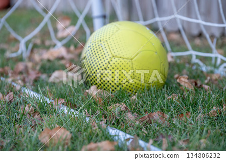 Bright yellow soccer ball resting near a goal net on grass with dried leaves during autumn 134806232