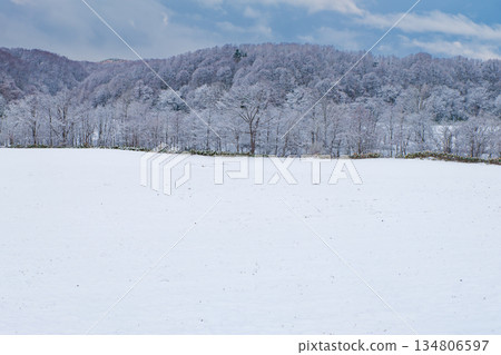 Snowy mountains Snowy mountains 134806597