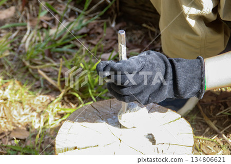 Child playing with fossils (8-year-old boy) 134806621