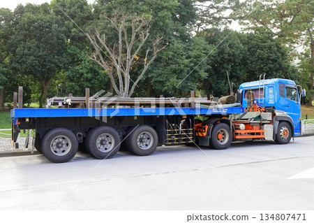 Trailer truck 134807471
