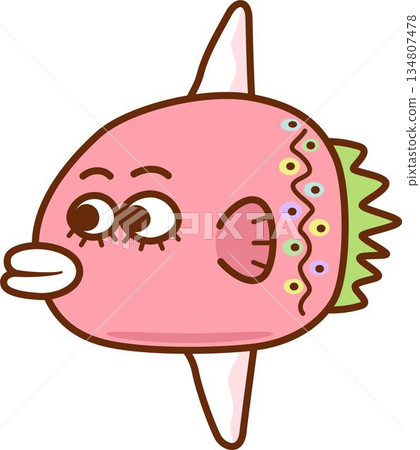 色彩繽紛的粉紅翻車魚 134807478