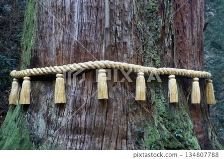 大岩神社與三棵聖杉樹（茨城縣日立市） 134807788