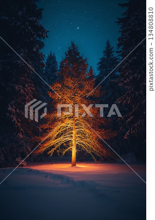 Tree is lit up in the snow, creating a warm and inviting atmosphere Tree is lit up in the snow, creating a warm and inviting atmosphere 134808810