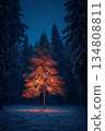 Tree is lit up in the snow, creating a warm and inviting atmosphere 134808811