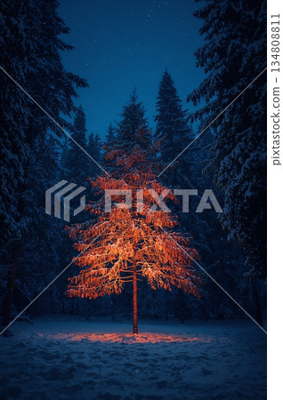 Tree is lit up in the snow, creating a warm and inviting atmosphere Tree is lit up in the snow, creating a warm and inviting atmosphere 134808811